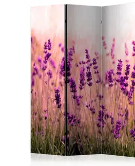 Paraván Lavender in the Rain Dekorhome