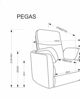 Elektrické polohovací křeslo PEGAS Halmar
