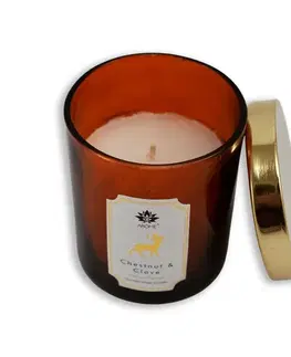 Arome Svíčka v barevném skle s víčkem, Chestnut & Clove, 125 g