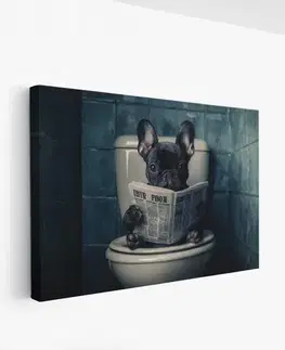 Dekorativní obraz na plátně Ersyaıhyvn40 - 50 x 70