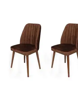 Sada jídelních židlí Alfa Brown and Walnut, 2 ks