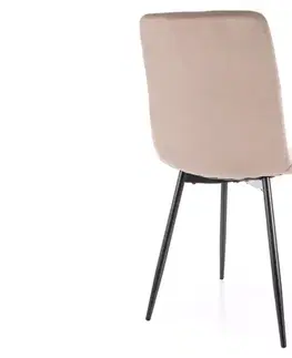 Židle Daren Velvet