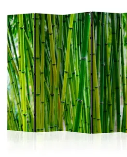 Paraván Bamboo Forest Dekorhome