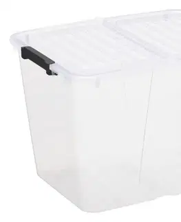 PLAST TEAM - Box FLEX úložný 30l transparentní