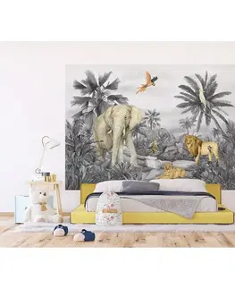 Dětská fototapeta Jungle 252 x 182 cm, 4 díly