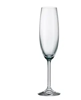 PROHOME - Flétna Colibri 6ks 220 ml