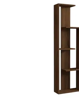 Knihovna Wand - Walnut