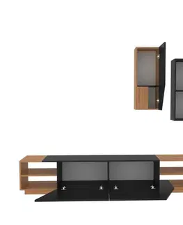 Televizní stolek se skříňkou Zebra Black and Teak