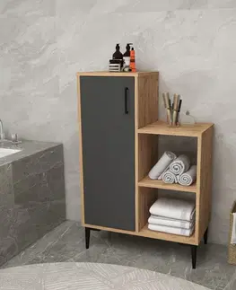 Víceúčelová skříňka Reysary - Atlantic Pine, Anthracite