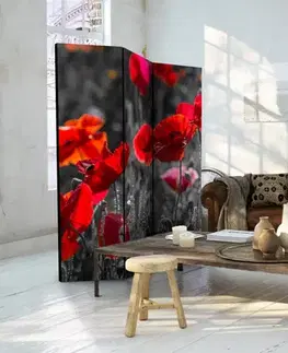 Paraván Red Poppies Dekorhome