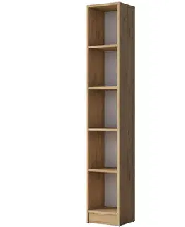 Knihovna Hale Walnut