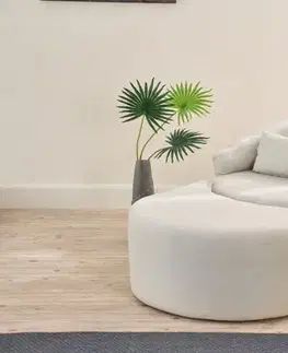 Rozkládací křeslo Pitta - Cream