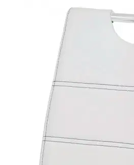 Jídelní židle HC-484 Autronic