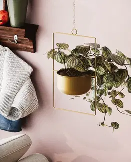 Dekorativní květináč Parapet - Gold