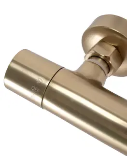REA Sprchový set s baterií 150mm s termostatem PAROT kartáčovaná zlatá REA-P2323