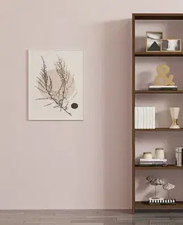 Knihovna New - Walnut