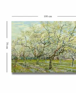 Dekorativní obraz na plátně 70100VANGOGH017