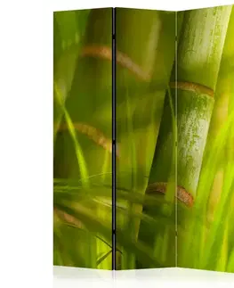 Paraván Bamboo - nature zen Dekorhome