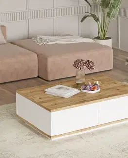 Konferenční stolek Fr14-Aw