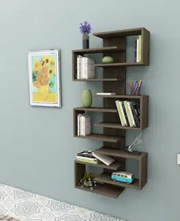 Knihovna Lotus - Walnut