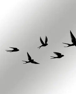 Dekorativní kovový doplněk na zeď Crow