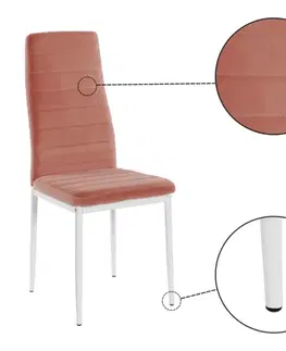 Jídelní židle COLETA NOVA Tempo Kondela