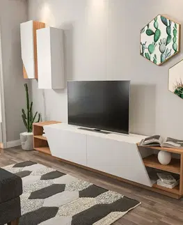 Televizní stolek se skříňkou Zebra White and Teak