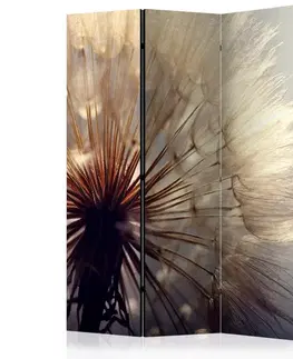 Paraván Dandelion Kiss Dekorhome