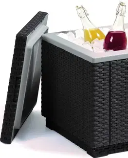 KETER Zahradní taburetka s lednicí FROST CUBE | grafit