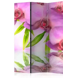 Paraván Orchid Spa Dekorhome