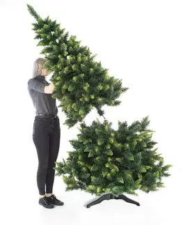 Restilo Vánoční stromek Borovice Diana, 150 cm