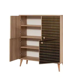 Víceúčelová skříňka Multilux-220