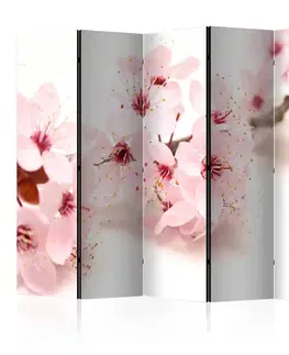 Paraván Cherry Blossom Dekorhome