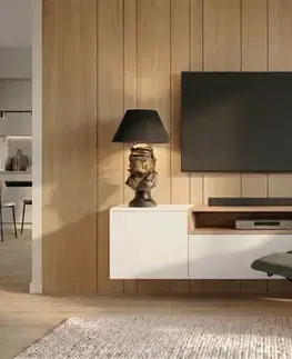 Polohovací TV křeslo KYKLOP Dekorhome