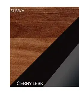 ArtCross Vitrína MAMBA | MAM 06 Barva: Švestka / černý lesk