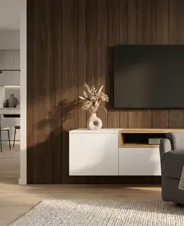 Polohovací TV křeslo KYKLOP Dekorhome