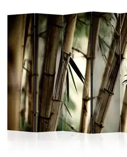 Paraván Fog and bamboo forest Dekorhome