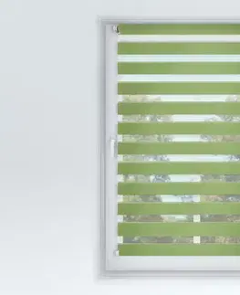 FEXI Roleta Den a noc, Origin slim zelené jablko, A 042, 150x101 cm
