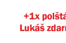 Pěnová sendvičová matrace BEÁTA + 1x polštář Lukáš ZDARMA Dřevočal