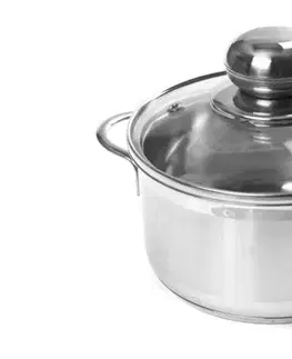 SSW - Hrnec nerezový 16cm a skleněná poklice 1,9l