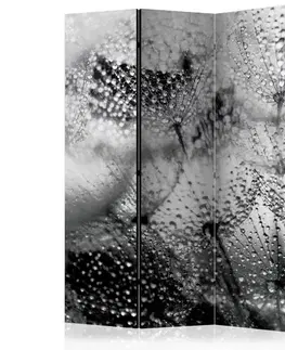 Paraván Kiss of the Rain Dekorhome