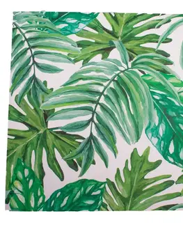 Obraz na plátně Green Leaves, 40 x 40 cm