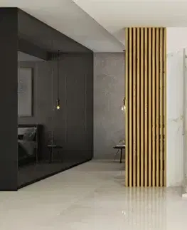 REA Sprchový kout Hugo 90x90 kartáčované zlato REA-K6609