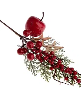 Dekorační větvička Apple and Stars, 34 cm
