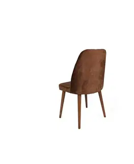 Sada jídelních židlí Alfa Brown and Walnut, 2 ks