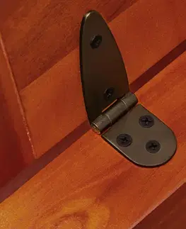 Úložná truhla DE2110 akácie Dekorhome