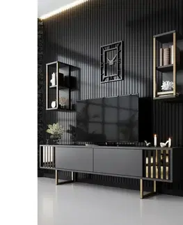 Televizní stolek s policemi Linie Anthracite and Gold
