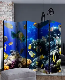 Paraván Underwater adventure Dekorhome