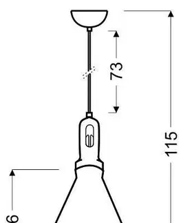Závěsná lampa Robinson 26 1X60W E27 černo-černá