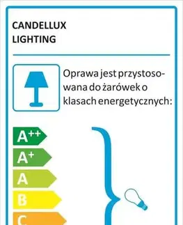 Stropní závěsná lampa Vesuvio E27 šedá